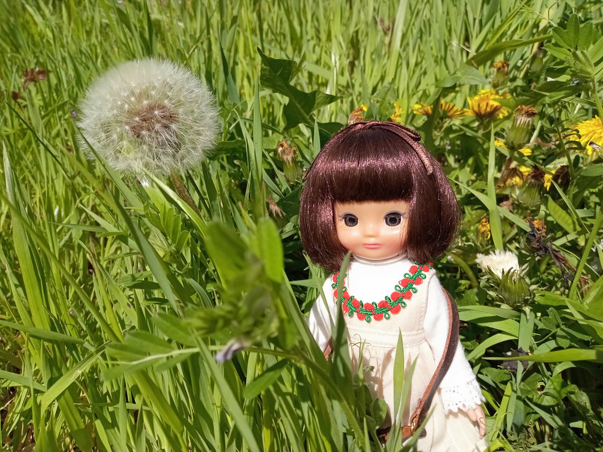 27272272722's tweet photo. かなこちゃんとお花
タンポポ、ムスカリ、ネモフィラ
#Tinybetsy https://t.co/07u9pGDQG7