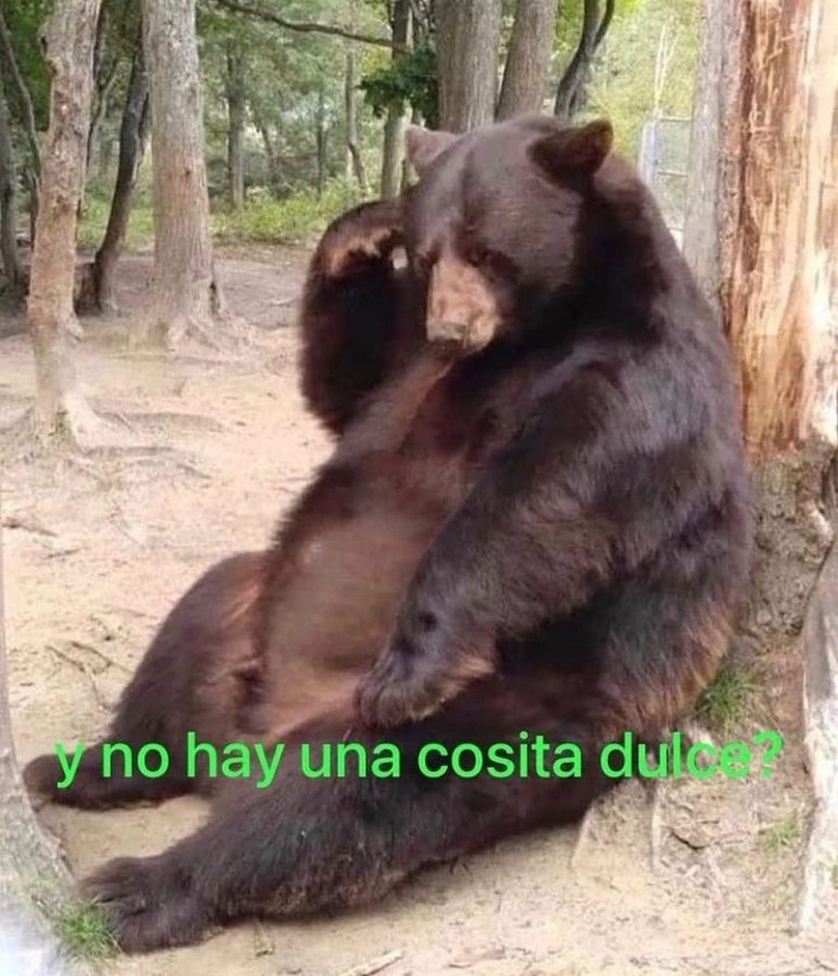 yo después de cada comida: