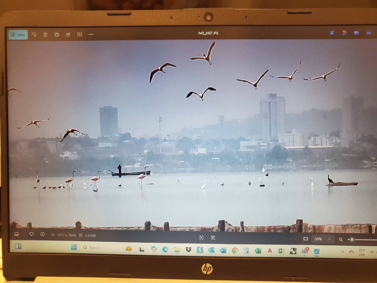 La Ciénaga de la Virgen se niega a desaparecer ante la mirada indolente de las entidades públicas responsables de su recuperación y mantenimiento permanente <a href="/infopresidencia/">Presidencia Colombia 🇨🇴</a> <a href="/MinAmbienteCo/">MinAmbiente Colombia</a> <a href="/AlcaldiaCTG/">Alcaldía de Cartagena</a> <a href="/ANLA_Col/">ANLA</a> <a href="/cardique/">Cardique</a> <a href="/EPACartagena/">EPACartagena</a> <a href="/UNEP/">UN Environment Programme</a> <a href="/el_BID/">Banco Interamericano de Desarrollo</a>  <a href="/ColombiaFinland/">FinlandInColombia</a>