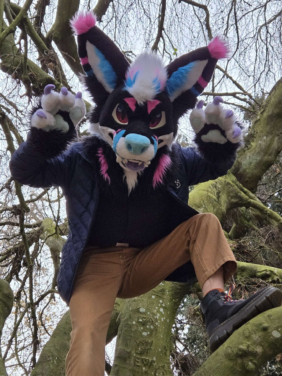Gonna pounce on u this #FursuitFriday rawr &gt;:3