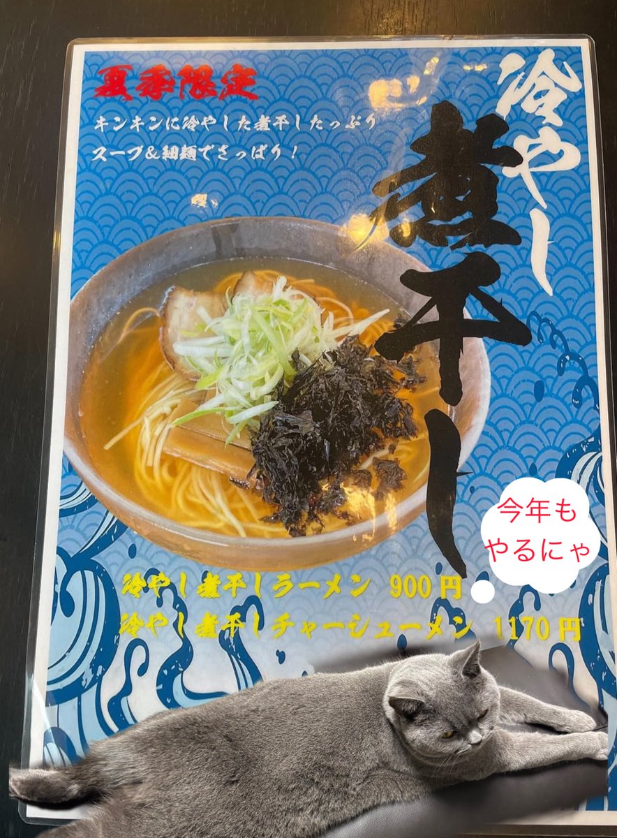 oninibo's tweet photo. 明日から発売！
冷やし煮干し

#鬼にぼ広報　#猫　#ぐぅちゃん　#冷やし　#新潟ラーメン https://t.co/gAKvBc6zfS