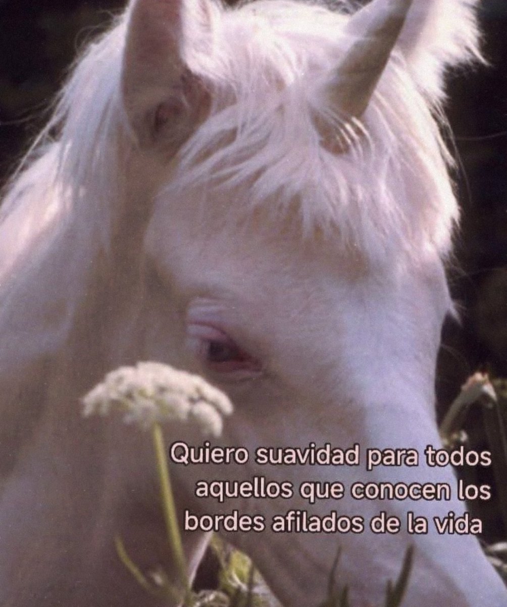 conoloracigarro's tweet photo. https://t.co/JfyO5UF9QT