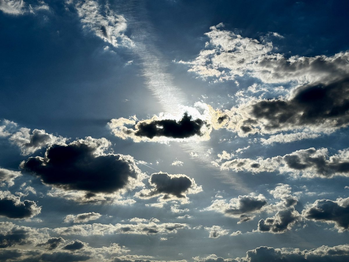 The IT Linebacker tweet media