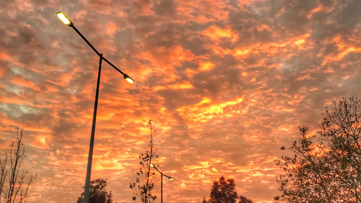 Flowerboy! ★彡 tweet media