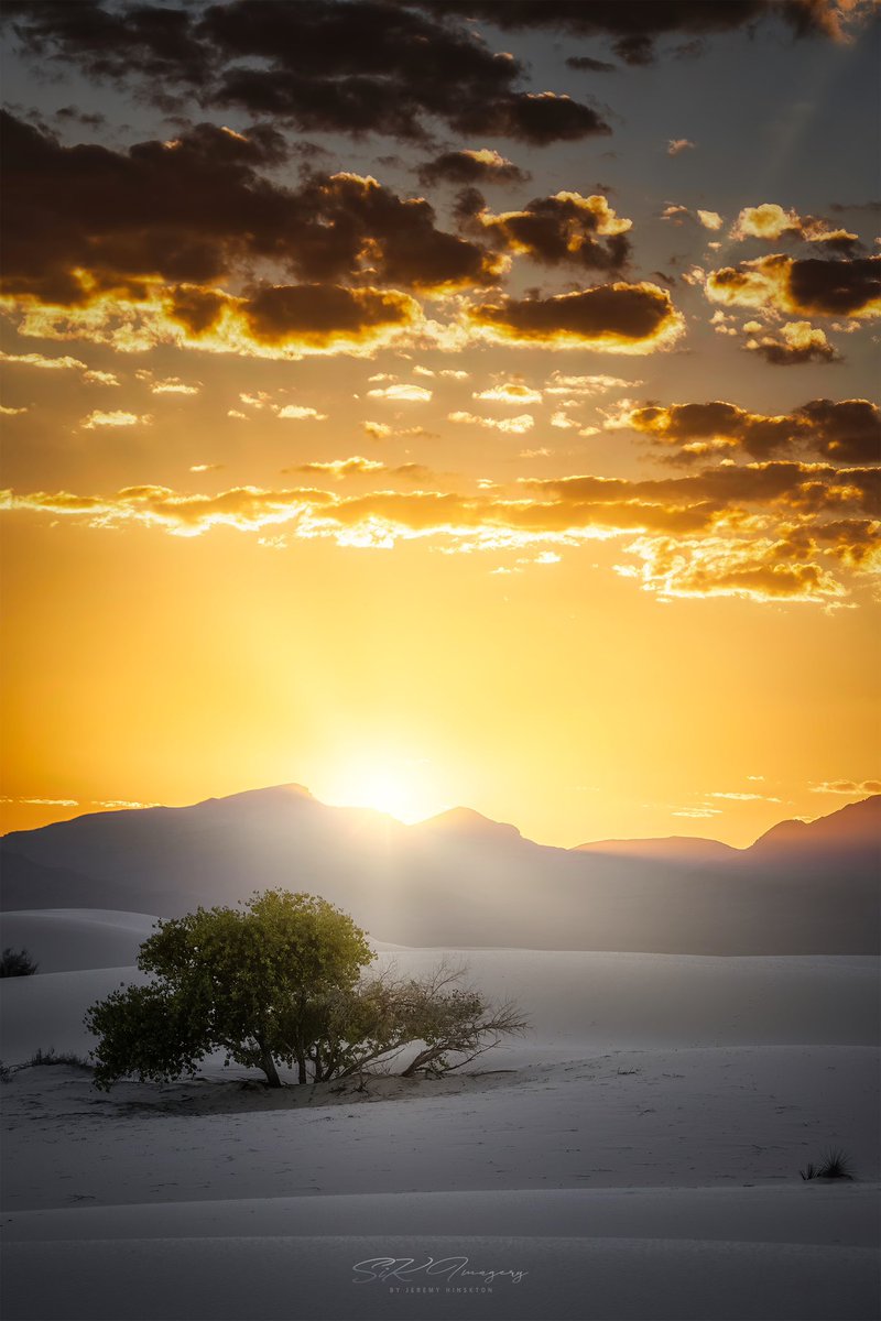 SiKImagery's tweet photo. Lone Tree https://t.co/7tHtTWGtA6