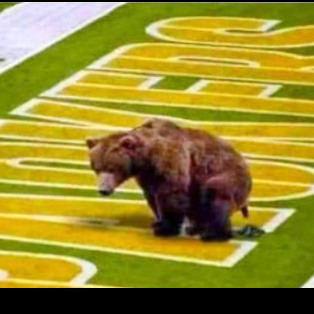 Fuck Clay Matthews