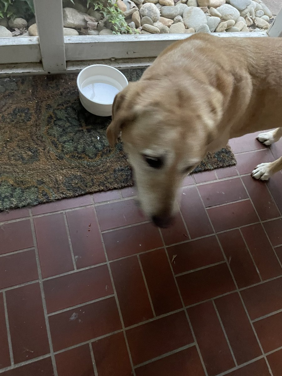 Found on Wakefield, maybe a female? <a href="/joeimel/">Joe Imel</a>