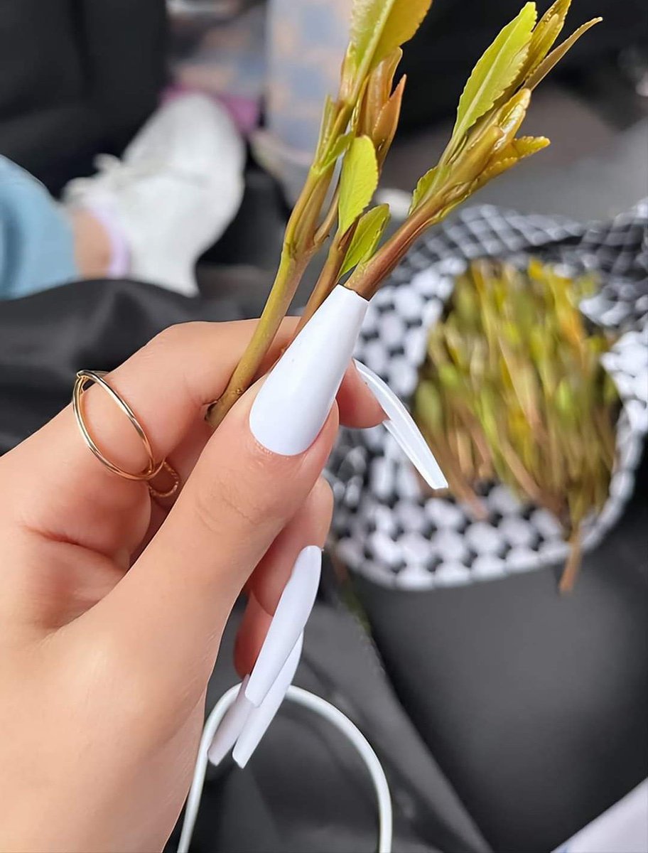 جوهره صنعانية 💕 (@is5555is) on Twitter photo 