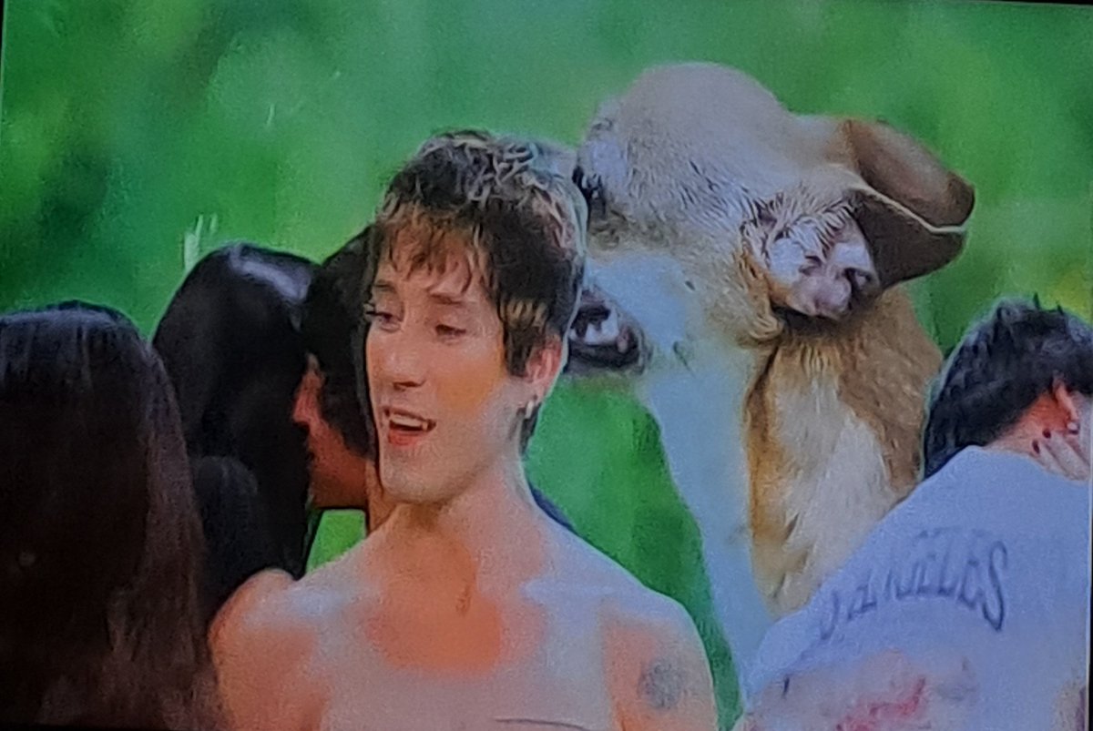 hann☕️ tweet media