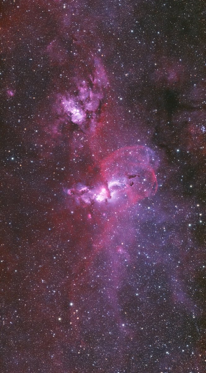 Rename this nebulae so it's less woke. 

NGC 3603,3576
Apertura 75Q Quintuplet Refractor
QHY Minicam8
SkyWatcher GTI Mount
HOO-RGB
H 57 x 60s
O 23 x 60s
R 15 x 30s
G 18 x 30s
B 18 x 30s
Total 1.75 hours