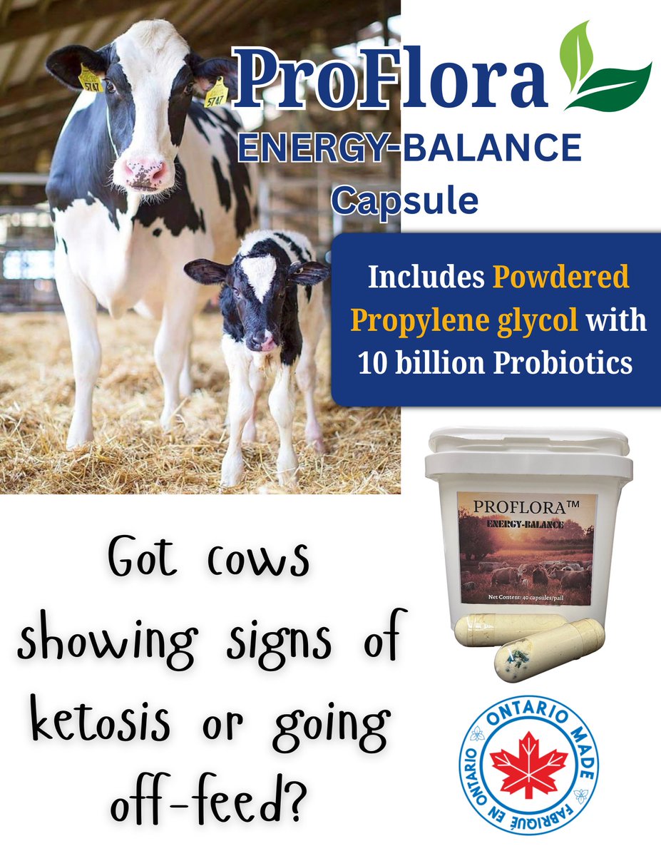 🚨 Cows showing signs of ketosis or going off-feed?

Fix it fast with ProFlora ENERGY-BALANCE Capsule 🐄💊

Supports energy metabolism — no drenching, no mixing, no mess. Just results.

🏆 Winner of the Livestock Innovation Award at Canada's Outdoor Farm Show!

#KetosisCare