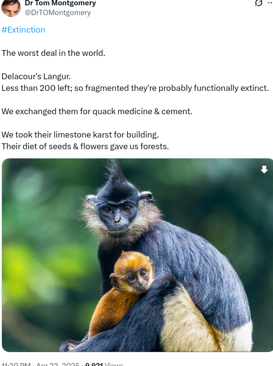 Another day and yet another one of Earth most beautiful creatures headed for extinction 
When will it stop - when nature is totally obliterated