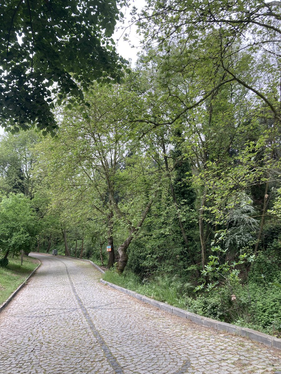 Sabah antremanı🏃