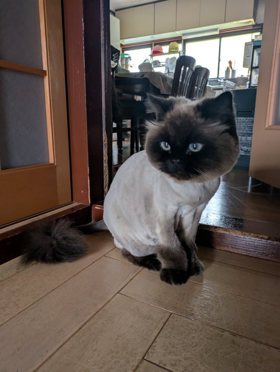 mujin_fuga's tweet image. 試行錯誤のネーム中
難しいです