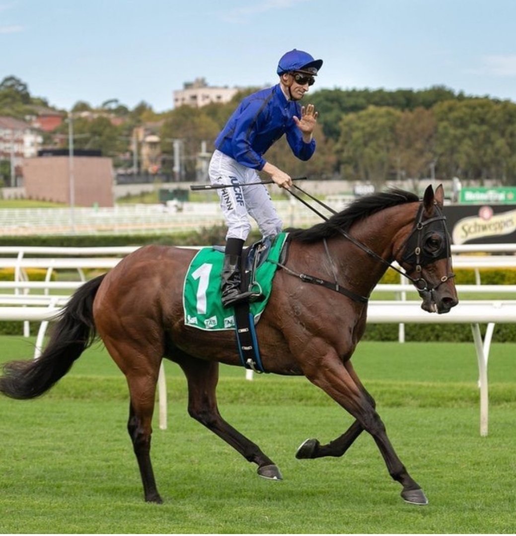 ippyboy77's tweet image. #RIP #HAPPYCLAPPER
what a ride!