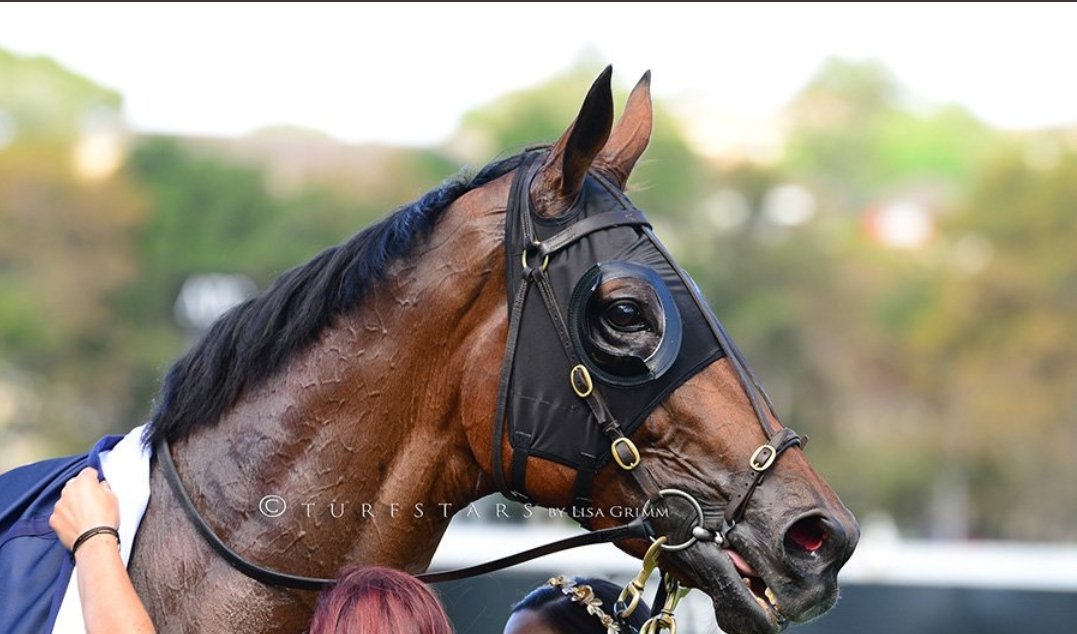 ippyboy77's tweet image. #RIP #HAPPYCLAPPER
what a ride!