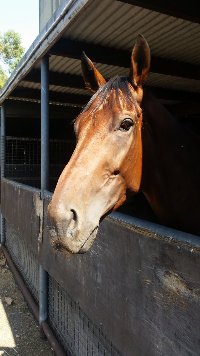 ippyboy77's tweet image. #RIP #HAPPYCLAPPER
what a ride!