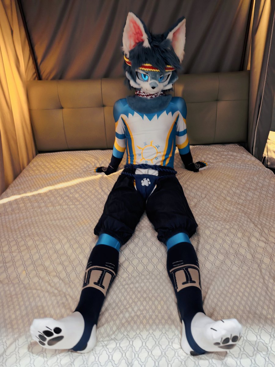 躺好了！
play with me?
#FursuitFriday  #furry #FursuitEveryday