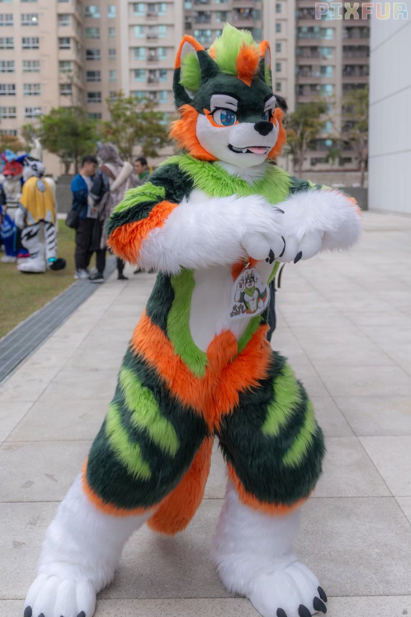 一起來跳舞

📷<a href="/Take82168451/">Hoshita Kesora 竹子 🐾UTFG</a> 
#FursuitFriday