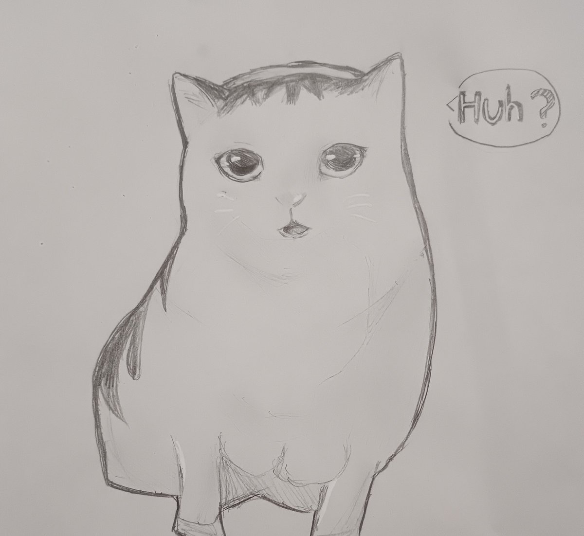 はっ？って言う動画の猫を描きました
#猫チーム #Huh