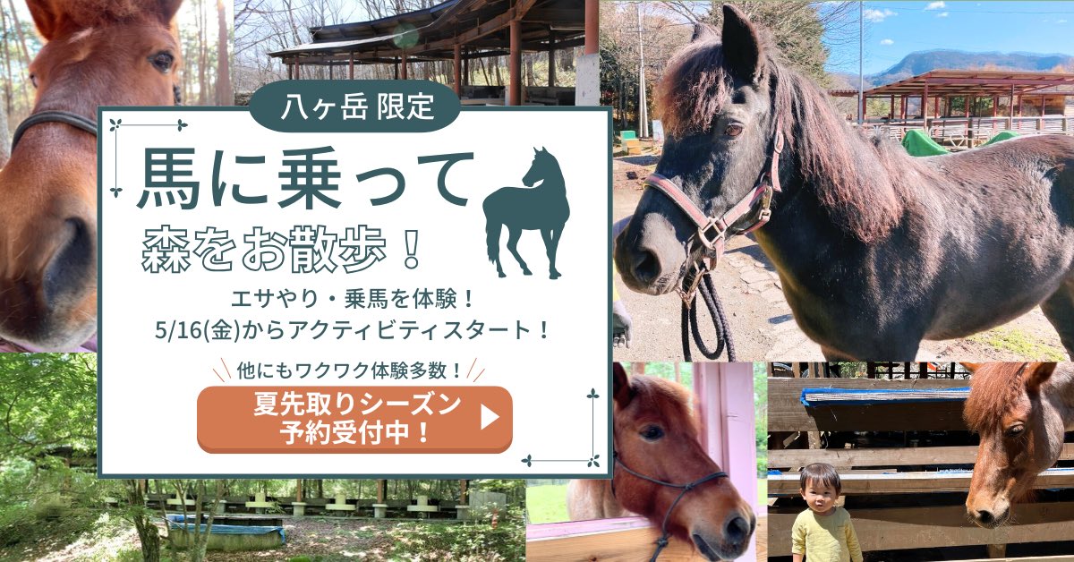 【八ヶ岳】アクティビティ予告！
5月16日(金)開始✨
馬のお世話体験アクティビティが新登場！
八ヶ岳で乗馬を体験しよう！！🐴

詳しくはこちら▽
yatsugatake.bub-resort.com/activity-detai…
