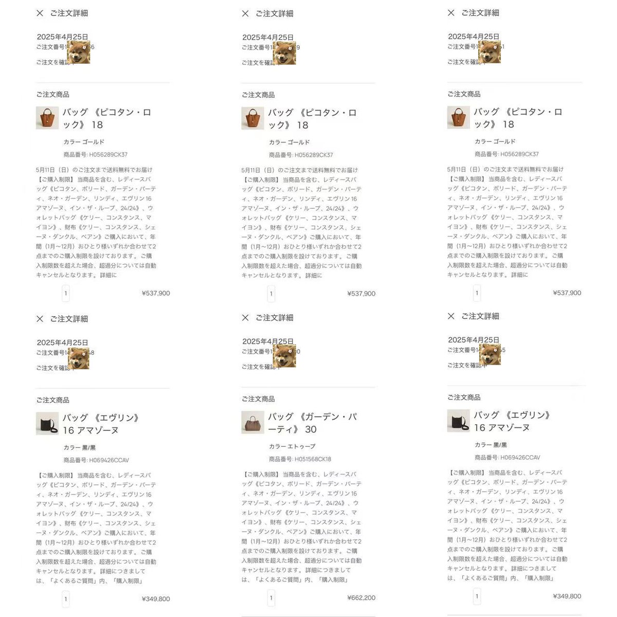 エルパト tweet media