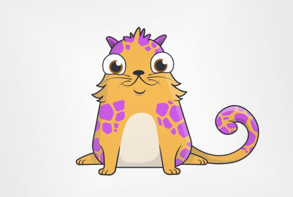 bigmatt_index's tweet photo. We were told these would be the next NeoPets. What went wrong? https://t.co/8cOTOpuc3z