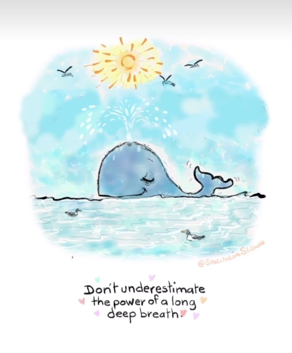 Oonagh Hogan (@oonshogan) on Twitter photo 