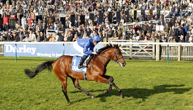 Dubai Racing Club (@racingdubai) on Twitter photo Good luck, ARABIAN CROWN! 👑
The G2 Dubai City of Gold fourth runs in the G3 Sir Gordon Richards Stakes <a href="/Sandownpark/">Sandown Park</a> today.
🕔5:25pm UAE #DRCgrads
📸 Godolphin/Newmarket Good luck, ARABIAN CROWN! 👑
The G2 Dubai City of Gold fourth runs in the G3 Sir Gordon Richards Stakes <a href="/Sandownpark/">Sandown Park</a> today.
🕔5:25pm UAE #DRCgrads
📸 Godolphin/Newmarket