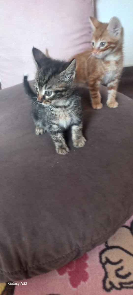 İzmir
İletişim ben