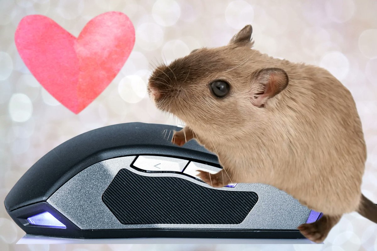 オスの性欲を支配する脳回路を発見！強制活性化で無生物にも欲情
nazology.kusuguru.co.jp/archives/131971

米スタンフォード大は2023年の研究でオスマウスの性欲の源泉となる脳回路について報告しています。この脳回路を強制的に活性化するとオスは無生物を含むあらゆる存在に飛びつき交尾しようとしてしまうという。