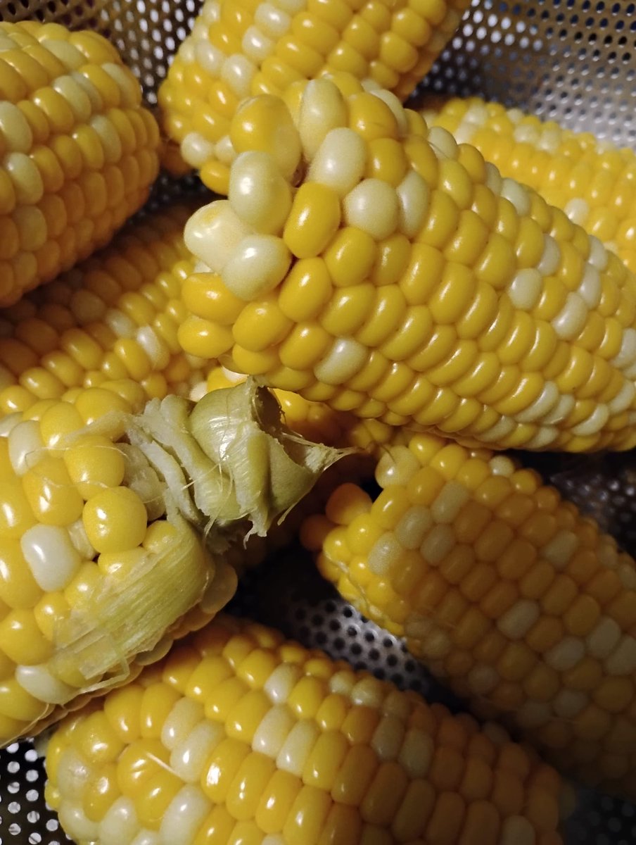 Good morning x Creators