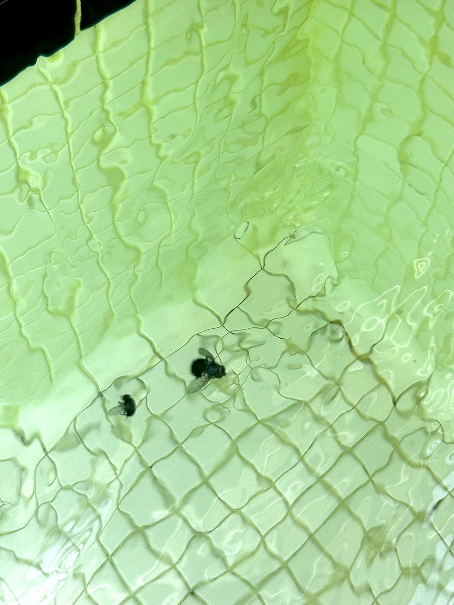 Relaxing in a hot tub.