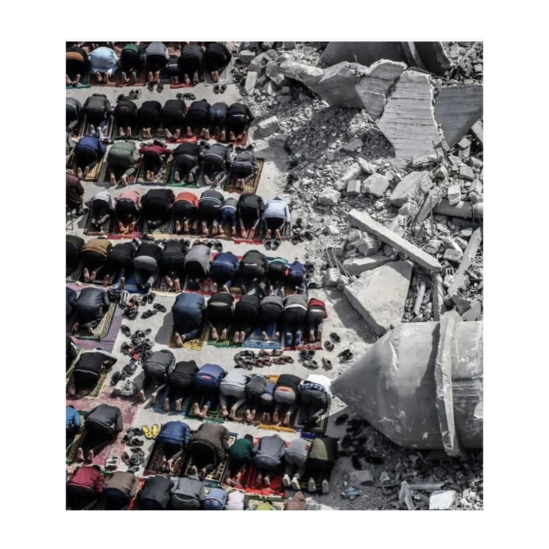 lamiyanoyamaldo's tweet photo. The people of true faith, the people of Gazzah. Pictures taken today during the last Friday prayer.

#FreePalestine https://t.co/Lnq0vufbwM
