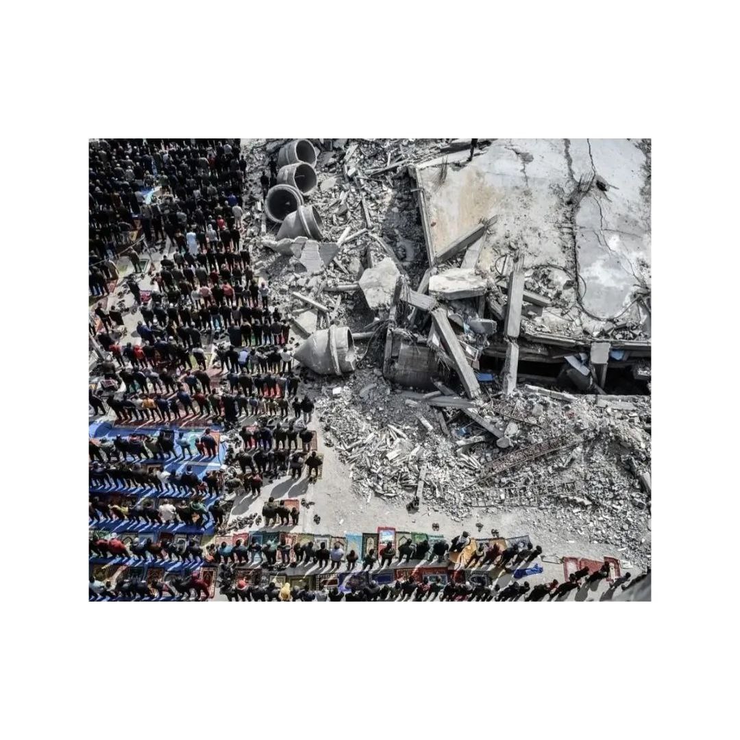 lamiyanoyamaldo's tweet photo. The people of true faith, the people of Gazzah. Pictures taken today during the last Friday prayer.

#FreePalestine https://t.co/Lnq0vufbwM