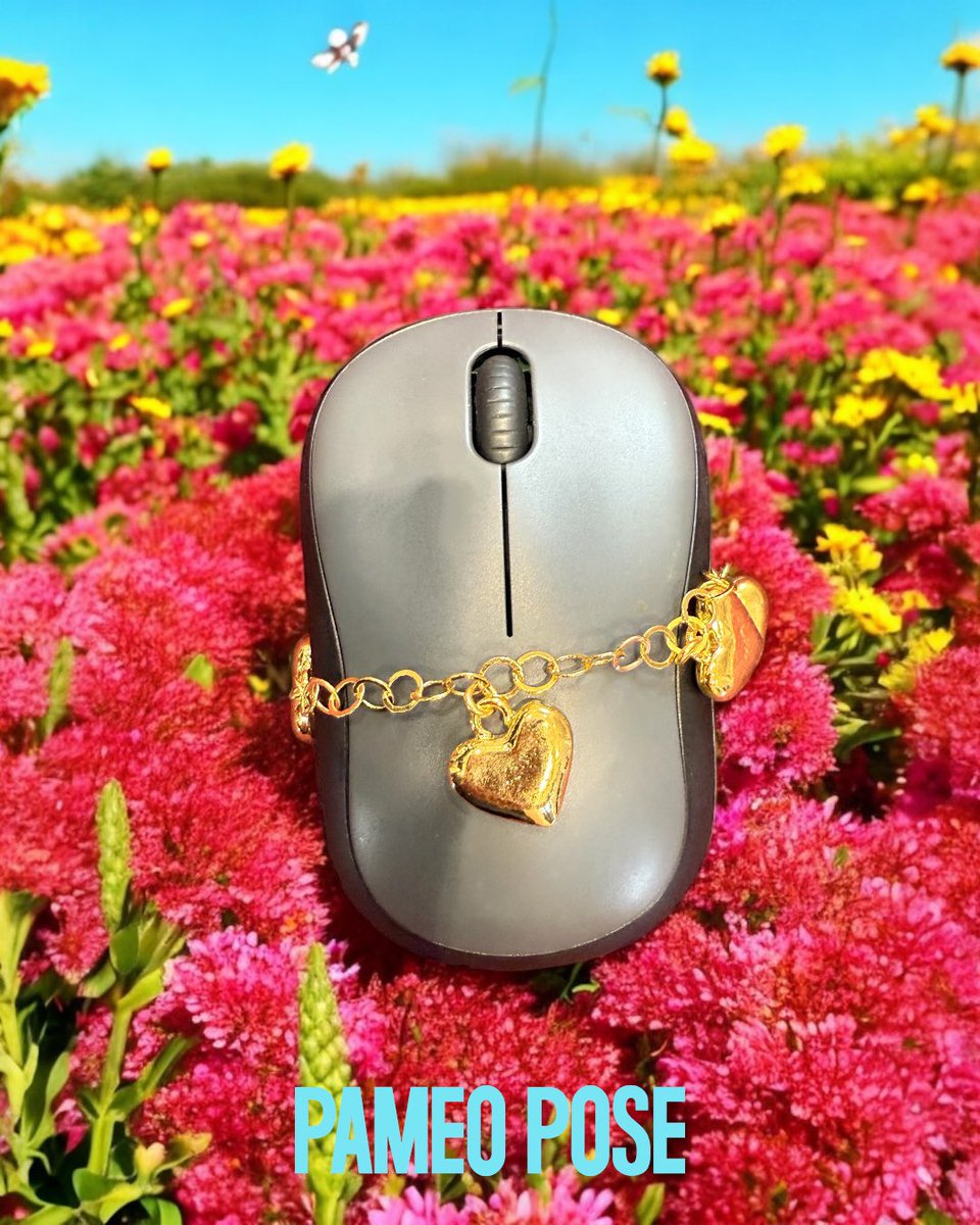 PAMEO POSE tweet media