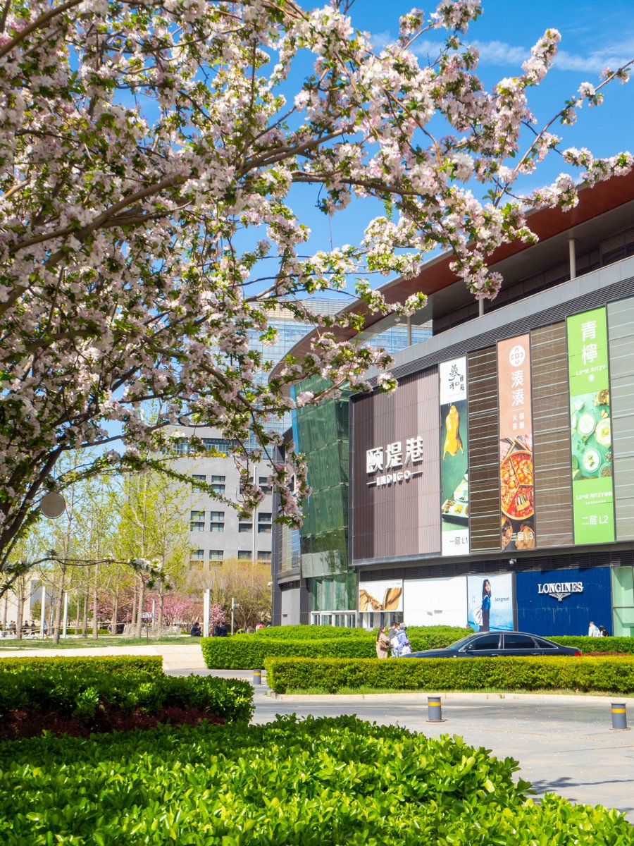 VisitBeijingcn's tweet photo. INDIGO, located near the #798ArtZone in #Beijing, is a #shopping hub offering international brands, chic dining, and lifestyle stores. It’s the ideal spot for shopping and relaxation. The mall also hosts art exhibits and pop-up markets for a unique experience. #VisitBeijing https://t.co/7V5FJJsril