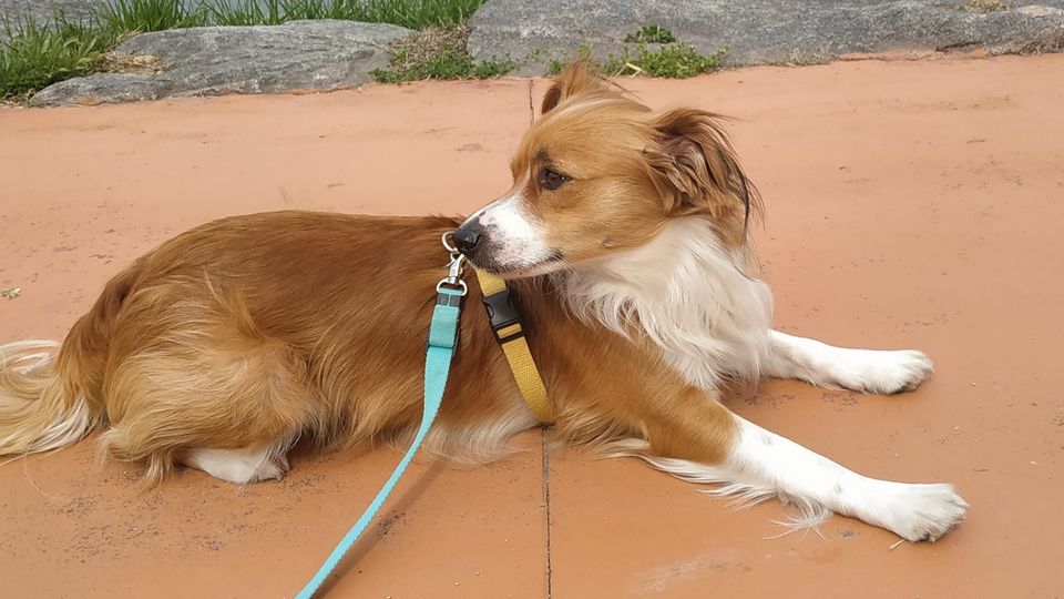 요랬는데,,                             요래됐슴다~,,