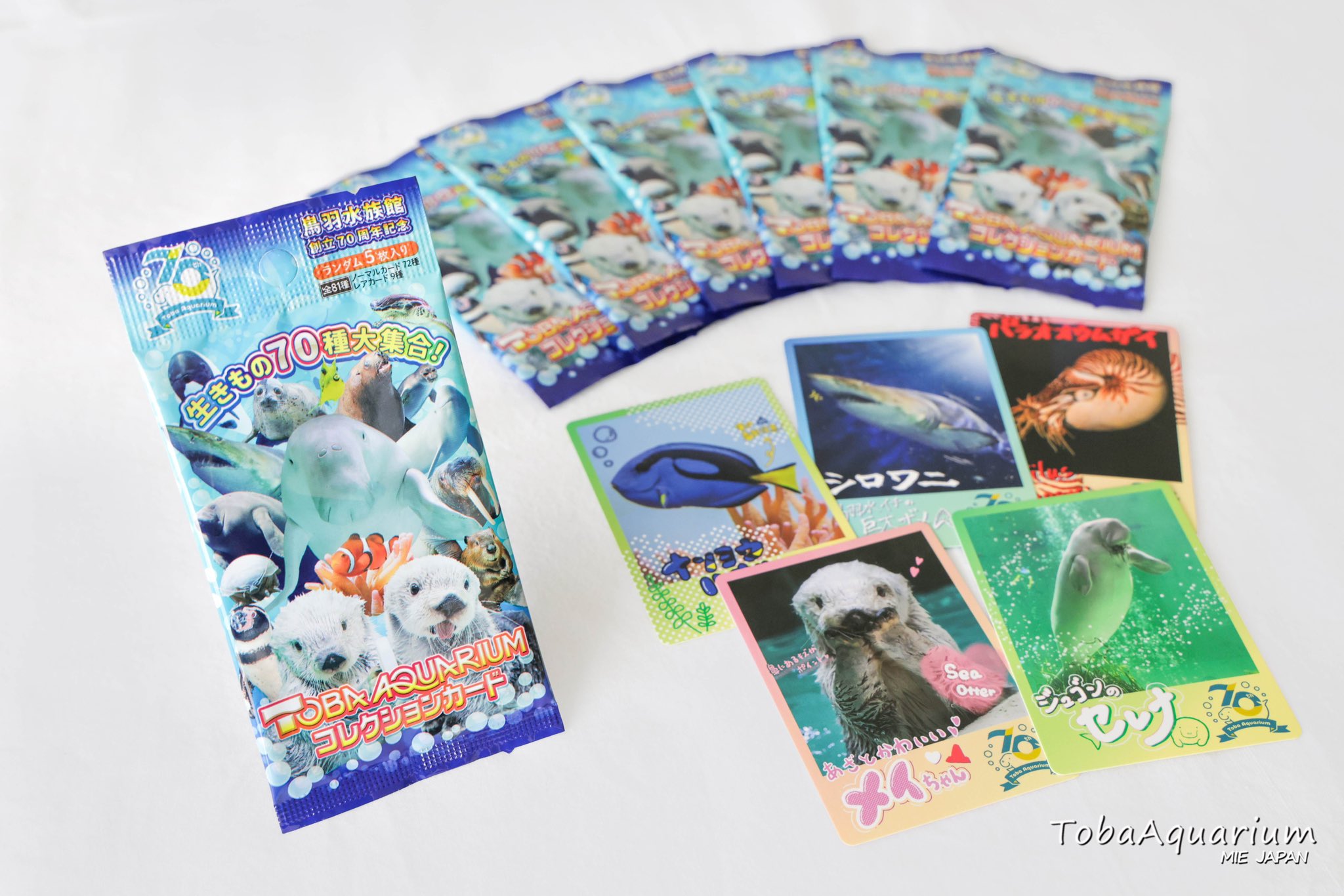 最高の 鳥羽水族館（TOBA  X: on AQUARIUM） その他