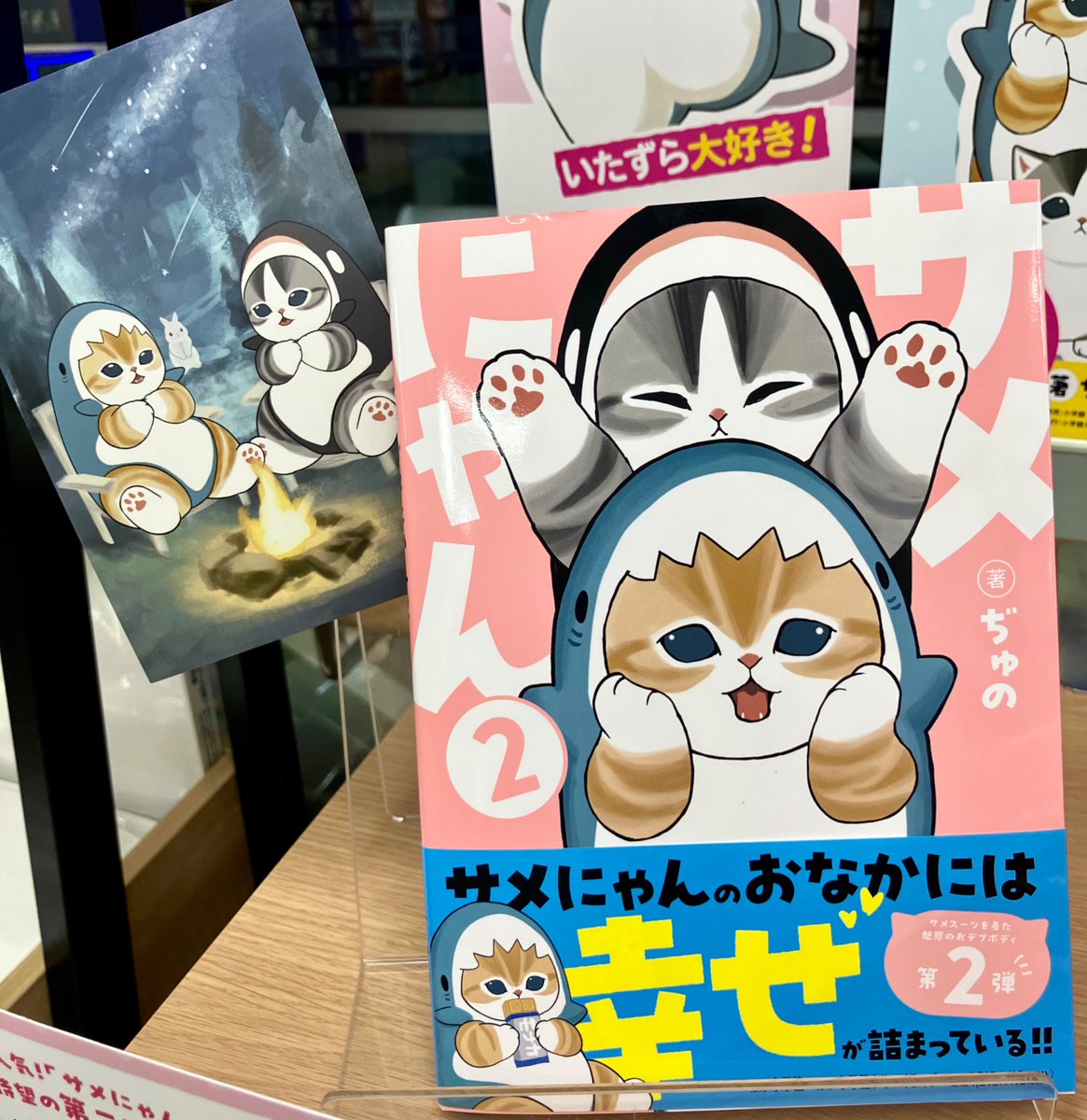 ♡しめにゃん♡ 新刊情報】 『サメにゃん2』(小学館) サメスーツを着たかわいい