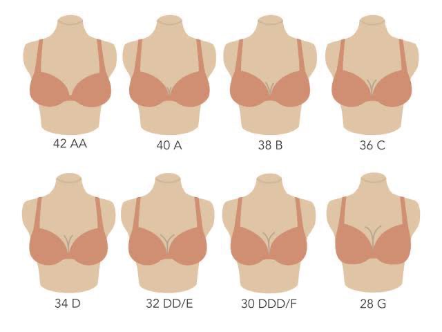 ezzahnor's tweet photo. ⚠️ GIRLS ONLY ⚠️

Adulting is guna bra yang selesa, tak buat sakit bahu &amp; sakit belakang badan. Bra straps tak payah adjust selalu sebab pakai the right size.

Meh i share cara ✨ukur size bra✨ yg paling senang! https://t.co/x8jGRckIfb