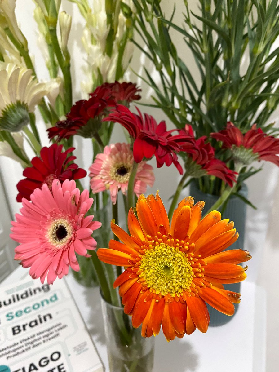 muandzzz's tweet photo. Sedap malamku sudah datang 🥰
Kamarku makin berbunga-bunga dan wangi karena ada 3 jenis bunga ini 💐

Jum’ah Mubarak temen-temen 
🌺💐🌸🌼 https://t.co/6hdNJ0bzJ3