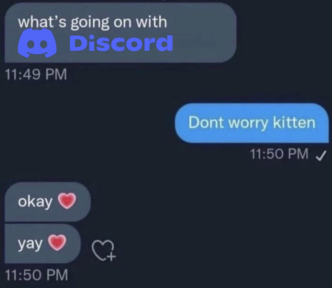 nobu_bee's tweet photo. discord relationships about to be in shambles https://t.co/Q3VRVqA4tR
