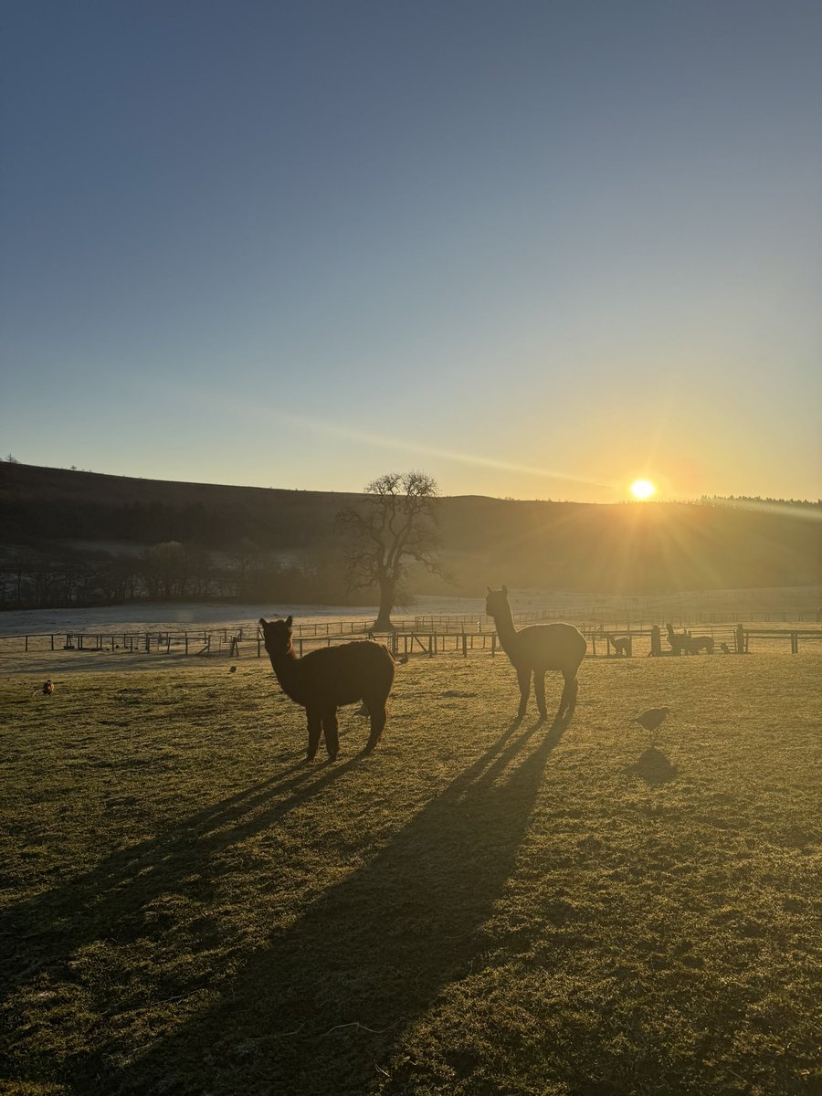 sun raise