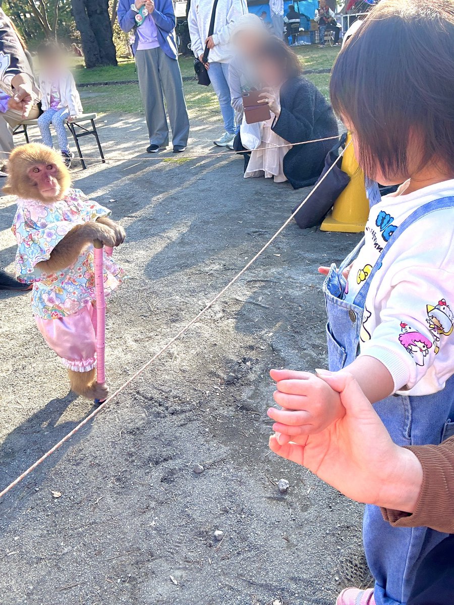 今年の合浦公園🌸
※昨日 満開