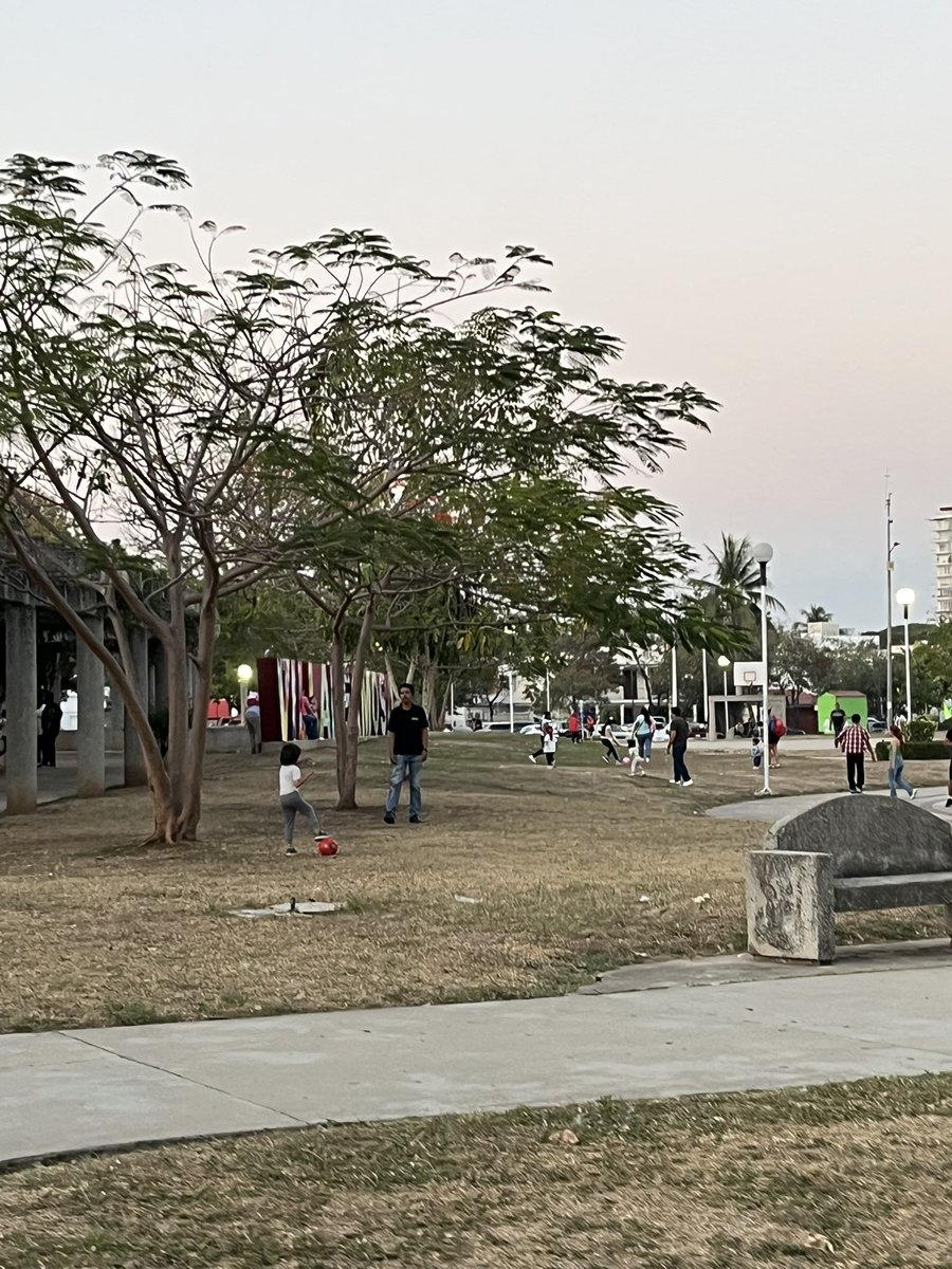 single Minatitlán tweet media