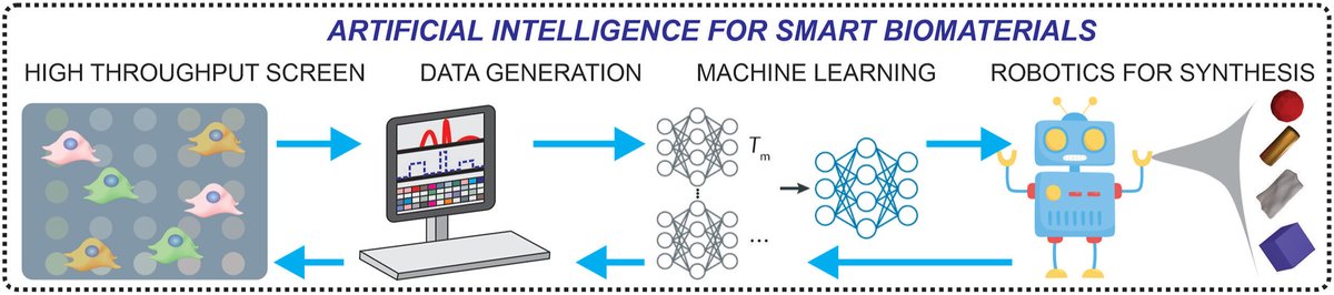#BMEMat New review📝
Artificial intelligence-assisted design, synthesis and analysis of smart biomaterials.
<a href="/WileyBiomedical/">Wiley Biomedical Science</a>
PDF👉onlinelibrary.wiley.com/doi/epdf/10.10…