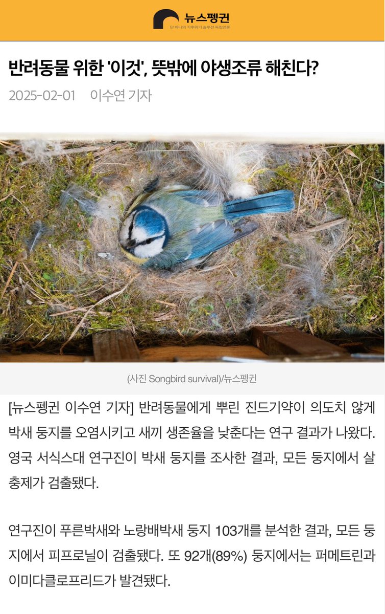 IamwinterWinter's tweet image. 초치고싶진않은데 나도 털 모아둔게 있어서 이렇게 해주고 싶었는데 사상충약에 들어있는 살충제 성분이 새끼새들에게 치명적이라는 말을 듣고 망설여져서 못했어,,, 😭newspenguin.com/news/articleVi…