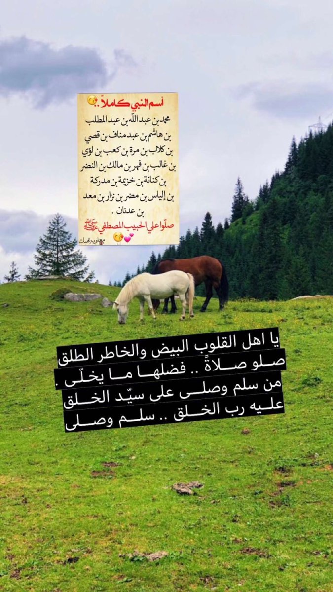 hages9's tweet photo. @noor_ota_ https://t.co/YuDBaM9DRo
