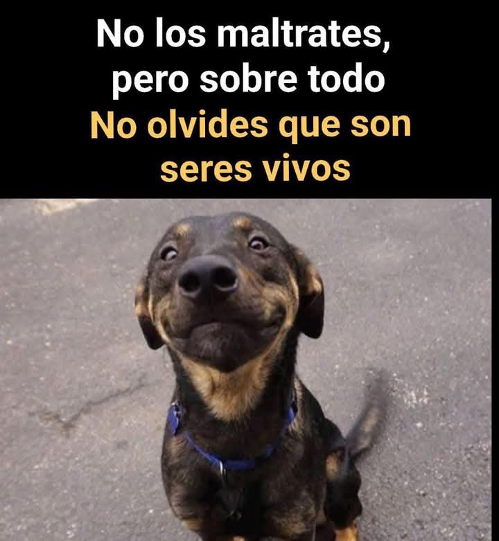 Buenas noches ✨💖